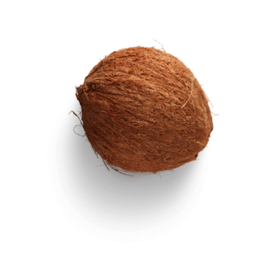 Coconut