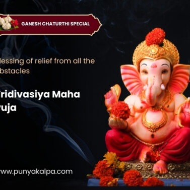 Vighna Vinashak Tridivasiya Maha Puja